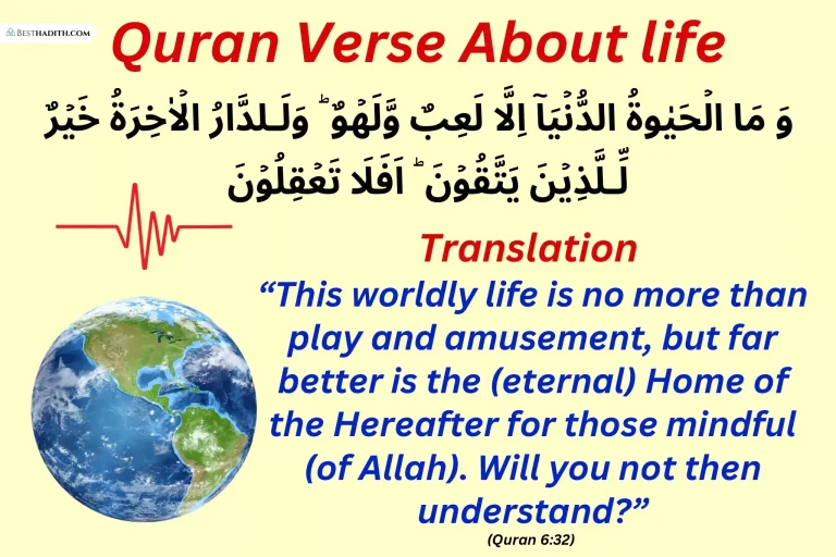 15 Beautiful Quran Verses About life 