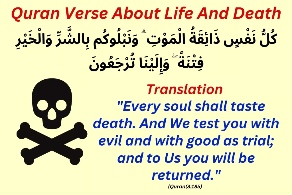 Quran-verses-about-life-and-death