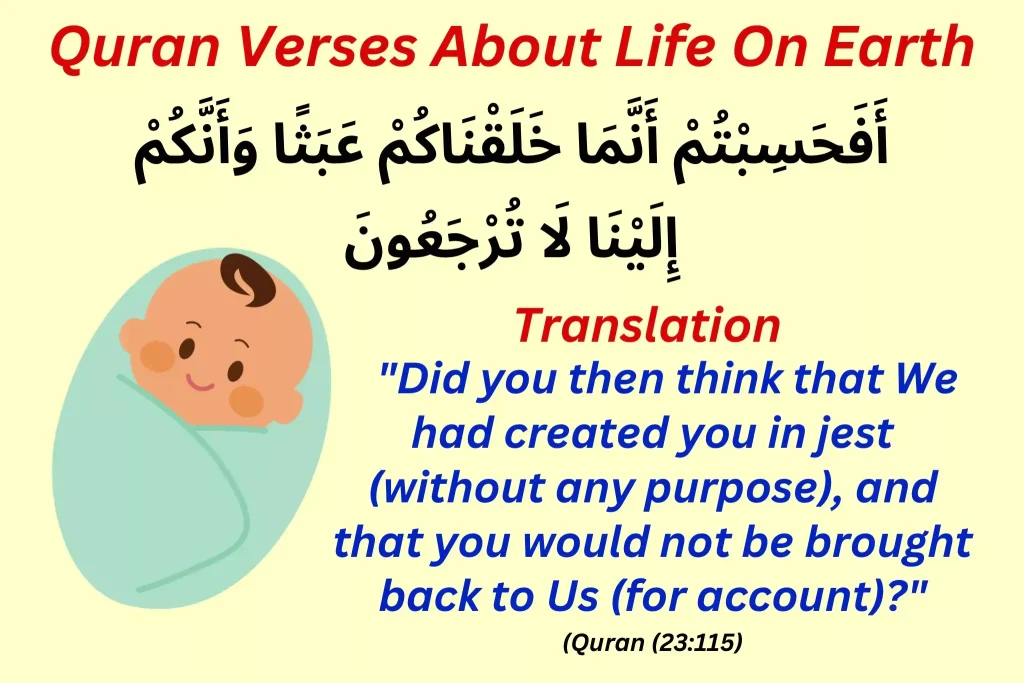 Quran-verses-about-life-on Earth