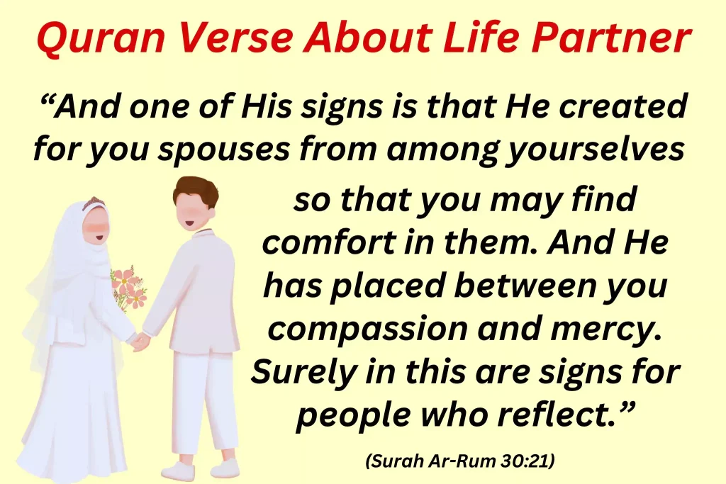 Quran-verses-about-life-partner