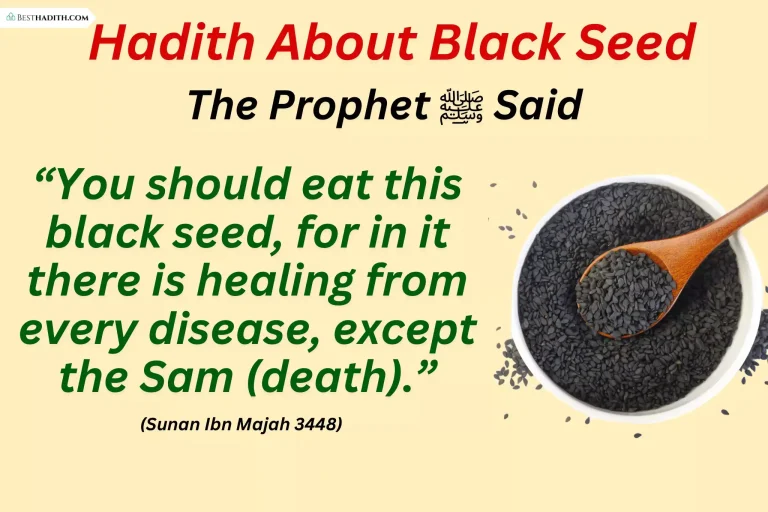 Beautiful Hadith About Black Seed In Islam 