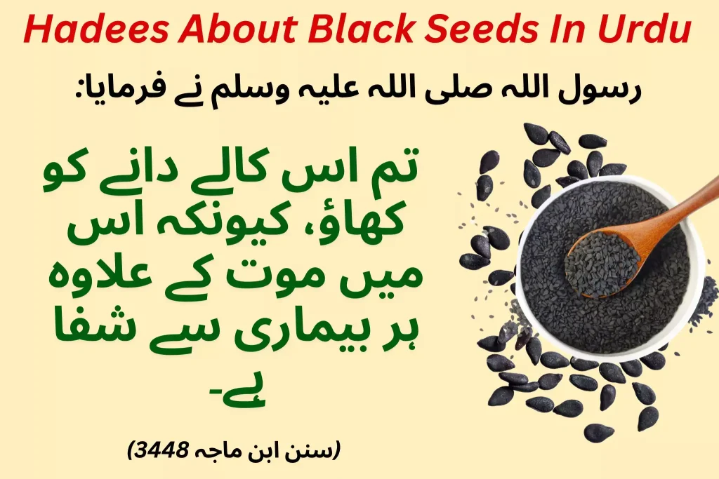 hadees-about-black-seeds-in-urdu
