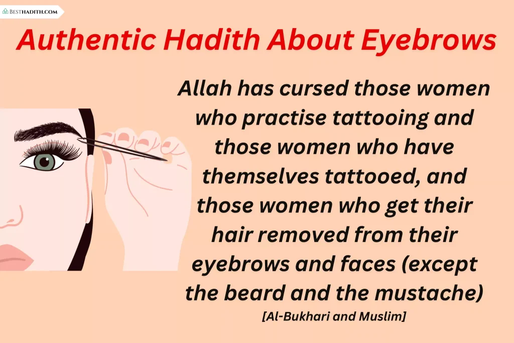 Authentic Hadith About Eyebrows