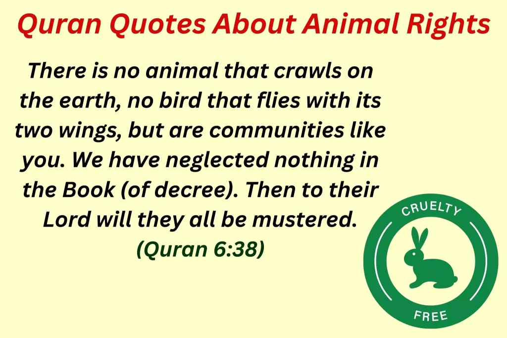 Quran Quotes About Animal Rights