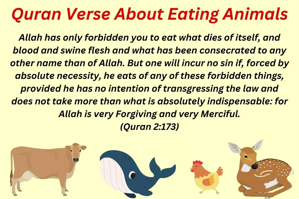 Quran Verse About Eating Animals