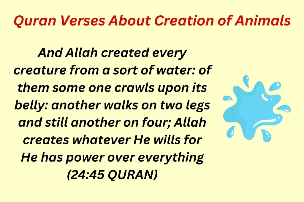 Quran Verses About Creation of Animals