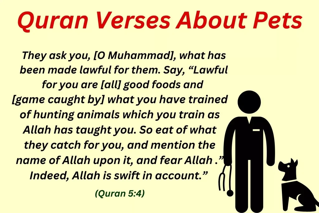 Quran Verses About Pets