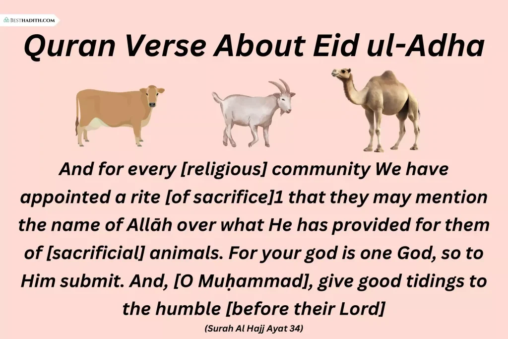7 beautiful Quran Verses About Eid ul-Adha