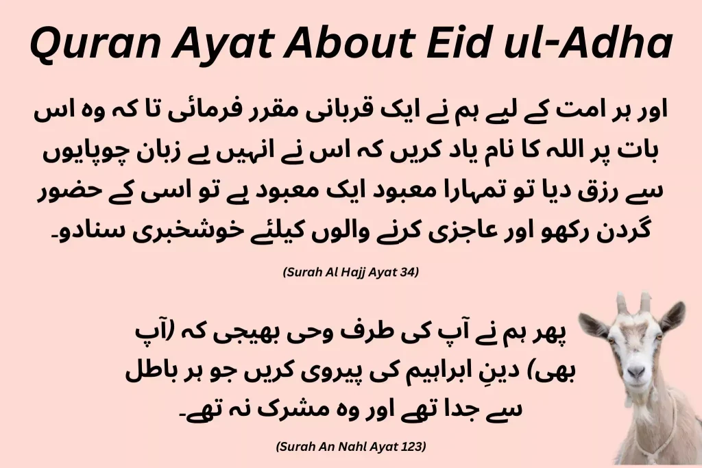 Quran Ayat About Eid ul Adha In Urdu